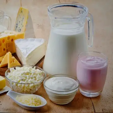 High protein dairy products including milk, cheese, yogurt and cottage cheese