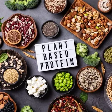 Plant based protein foods including legumes, nuts, seeds and grains