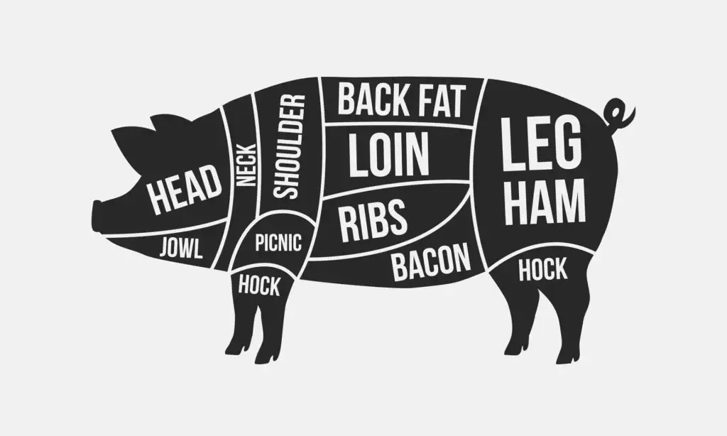 Pork cuts diagram showing loin, ribs, ham, bacon and shoulder sections