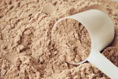 White scoop in a pile of casein protein powder