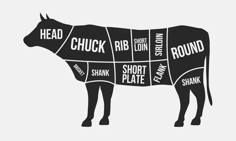 Beef cuts diagram showing chuck, rib, sirloin and round sections
